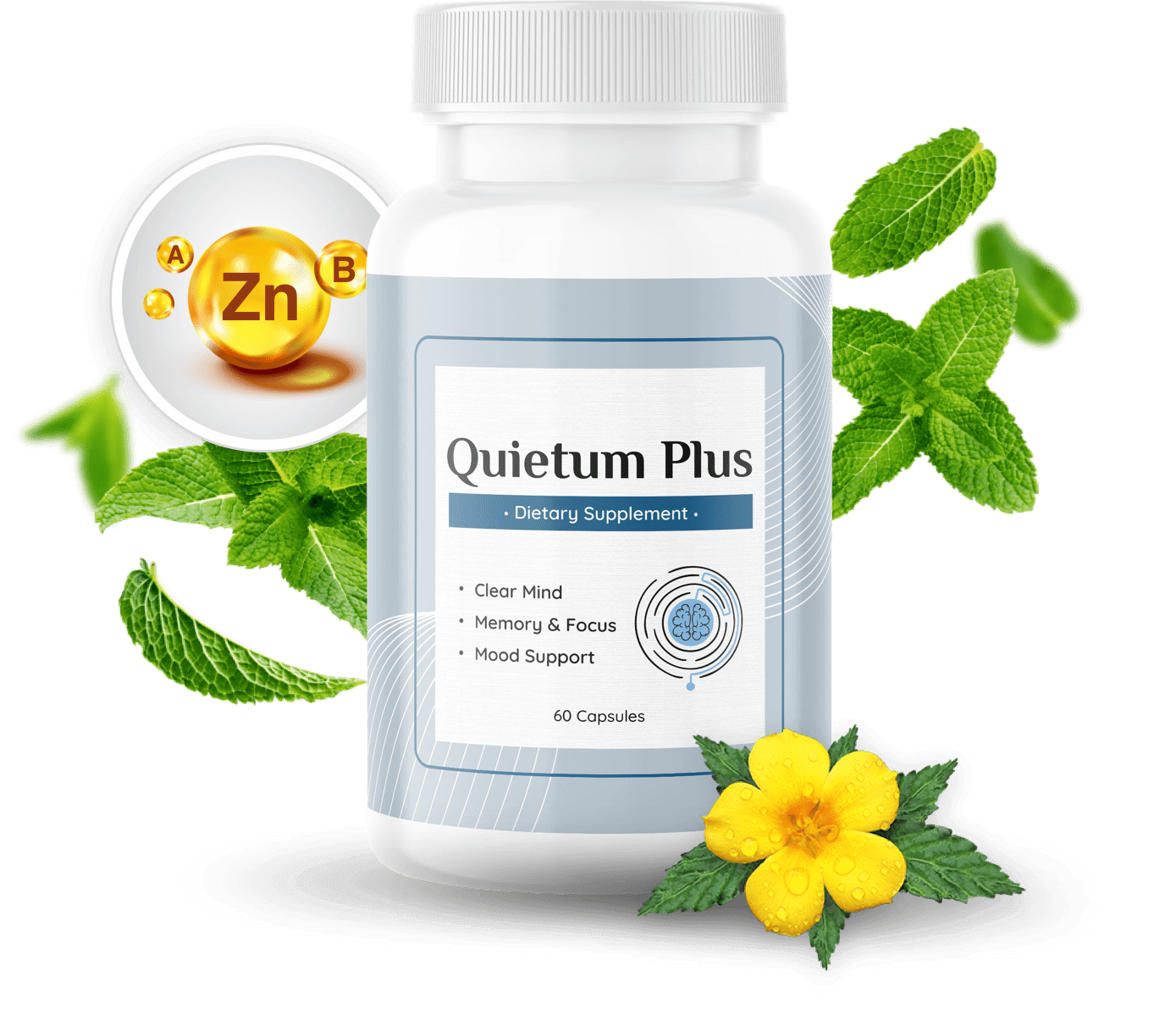 Quietum Plus: A Natural Dietary Supplement for Improved Ear Health